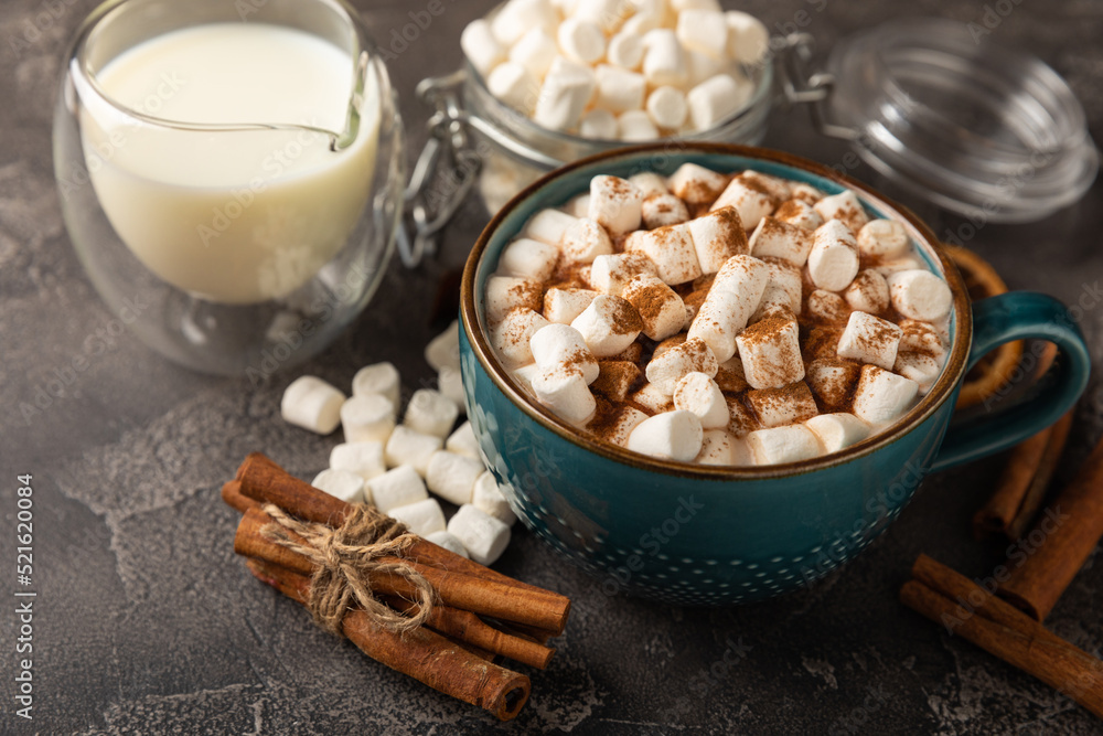 Cup of tasty cocoa drink and marshmallows in blue cup.Spices and marshmallows for winter drinks on black texture table.Winter hot drink.Hot chocolate with marshmallow and spices.Copy space. Cup of tasty cocoa drink and marshmallows in blue cup.Spices and marshmallows for winter drinks on black texture table.Winter hot drink.Hot chocolate with marshmallow and spices.Copy space.