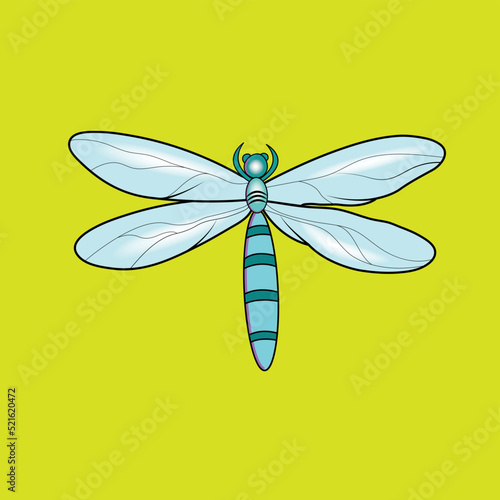 Dragonfly wings Vectors & Illustrations