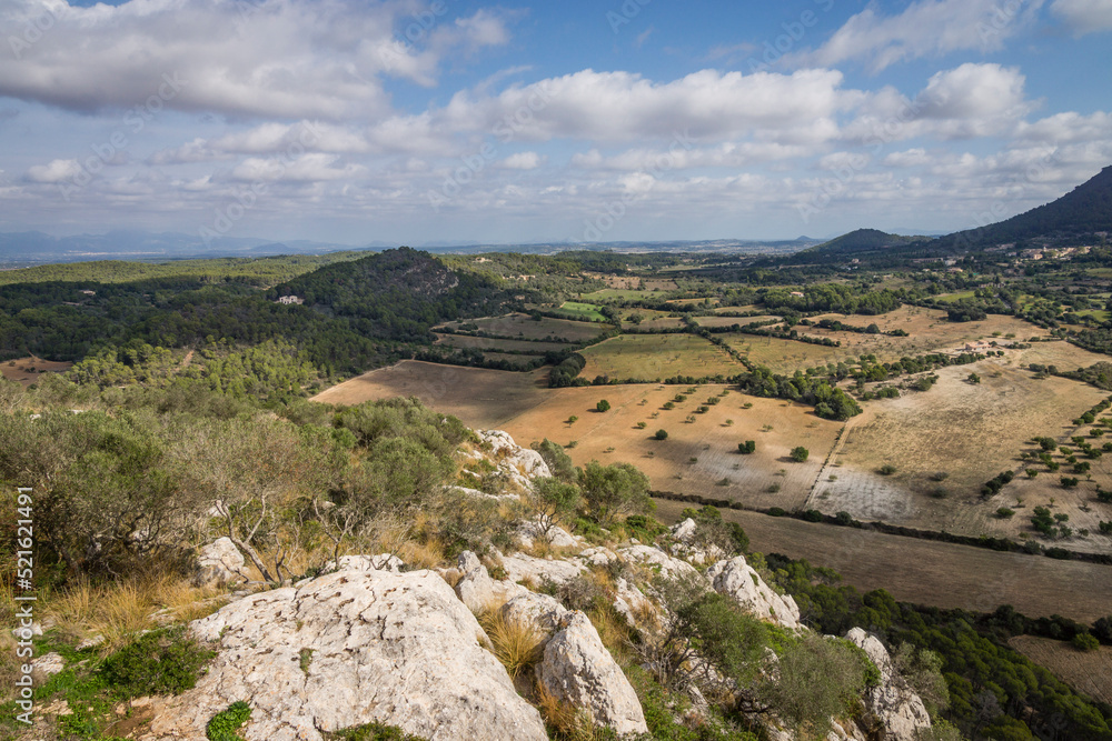 zona llana proxima a Randa,  sierra de Galdent, Algaida-Llucmajor, Mallorca, balearic islands, spain, europe