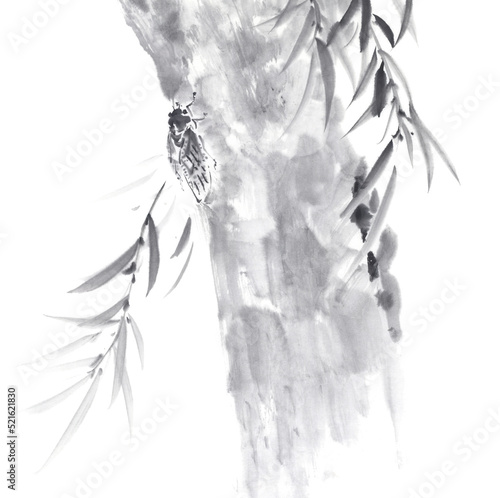 柳の木にとまる蝉　水墨画