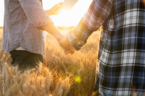 A couple of farmers in plaid shirts and caps holding hands on agricultural field of wheat at sunset