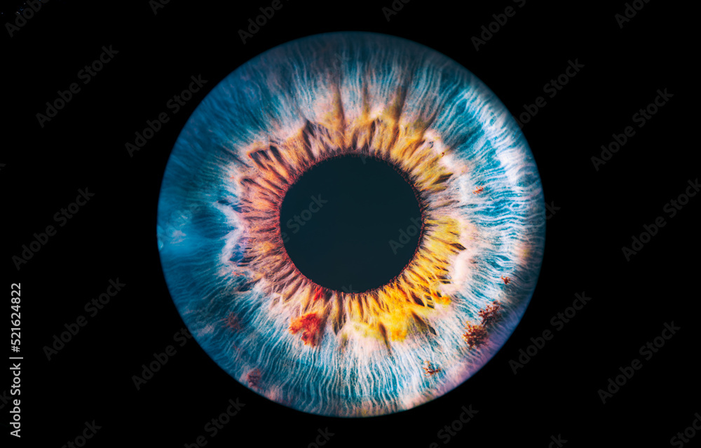 eye iris - obrazy, fototapety, plakaty 