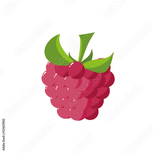 Dessin d'une Framboise fruit et feuille verte, fond isolé