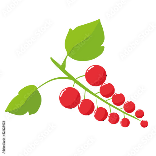 Groseille fruit, dessin sur fond transparent