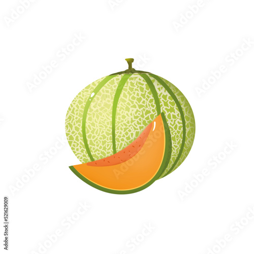 Illustration Melon entier et melon tranche, fond transparent 