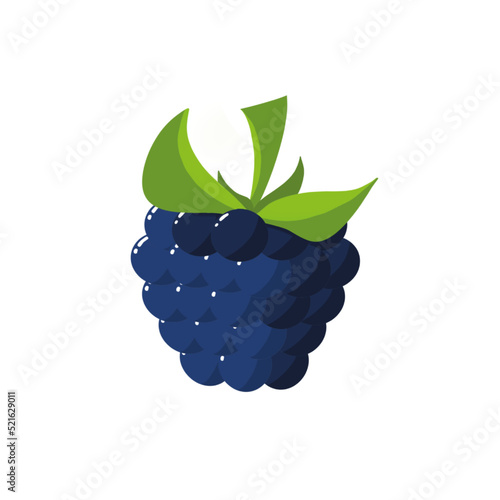 dessin d'une Mûre fruit, fond transparent