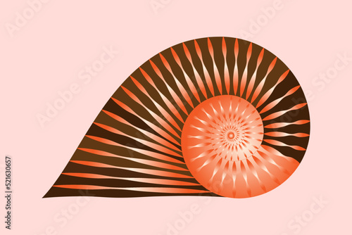 Nautilus shell symbol. Textured nautilus conch. Vector illustration