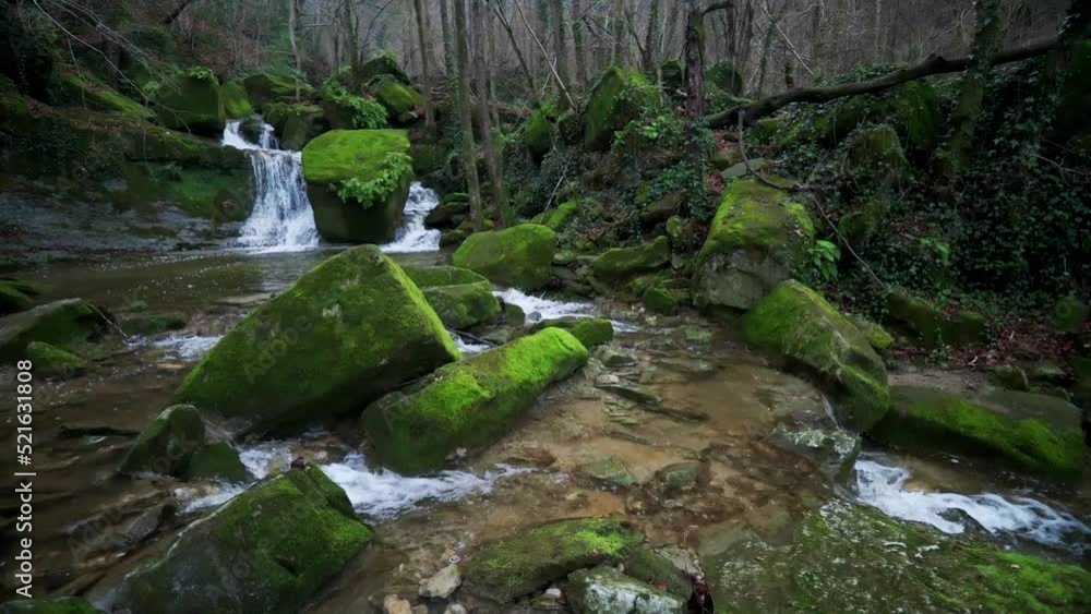 Beautiful stream in the forest (little waterfall) Beautiful stream in the forest (little waterfall)