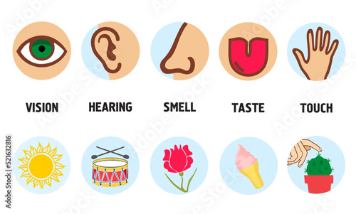 Five senses illustrations. Vision, taste, touch, smell, hearing. Five senses concept with human organs. Delicious ice cream and loud music, bright sun, fragrant rose and prickly cactus, vector