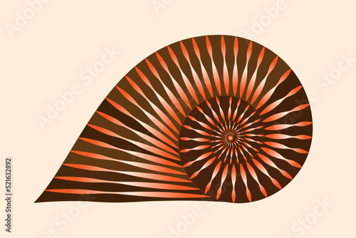 Nautilus shell isolated. Textured nautilus conch. Vector illustration