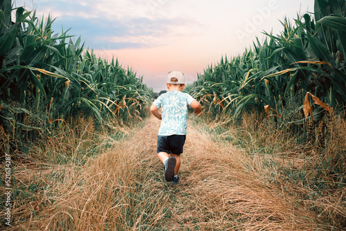 Boy running outdoor. Happy child running on a road near corn field during summer sunset. Childhood, summertime, dreaming concept