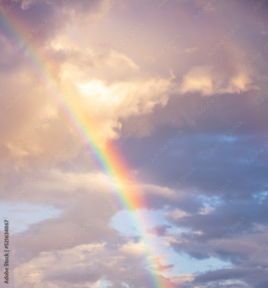 amazing bright rainbow in beautiful evening cloudy sky after rain and thunder, weather concept amazing bright rainbow in beautiful evening cloudy sky after rain and thunder, weather concept
