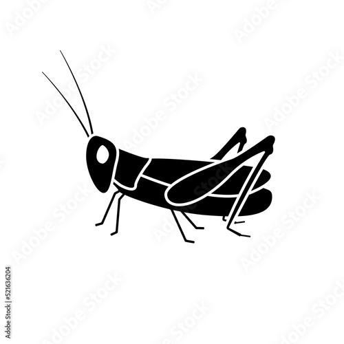 Black silhouette of locust. Huge grasshopper pest with large antennae and powerful paws. Fried snack with high content of natural vector protein