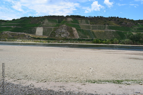 Niedrigwasser bei Osterspai und WEinberge photo