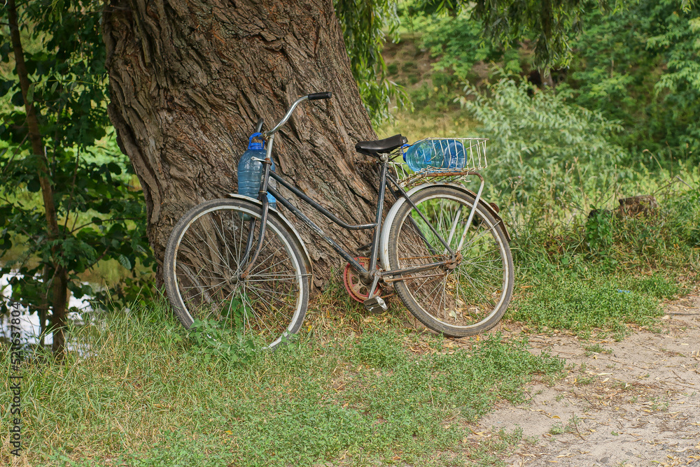 one old black bicycle stands near a large gray tree in the green grass in the park