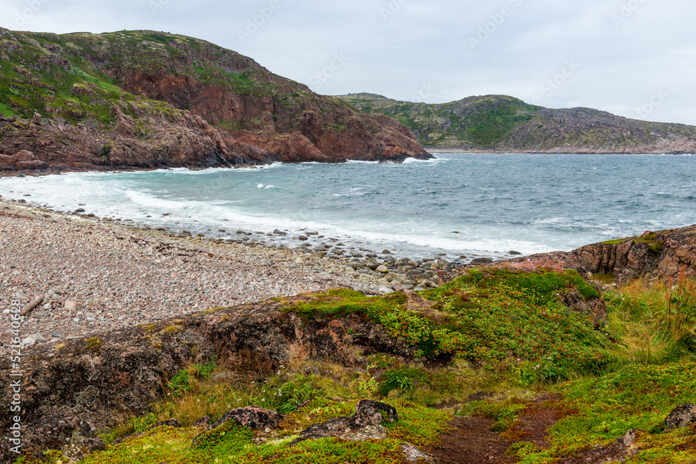 Fototapeta premium Summer tundra. Rocky coastline of Barents Sea near Teriberka. Scenery of Russian North. Kola Peninsula, Murmansk Oblast, Russia