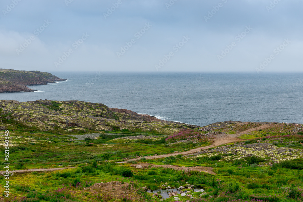 Summer tundra. Rocky coastline of Barents Sea near Teriberka. Scenery of Russian North. Kola Peninsula, Murmansk Oblast, Russia Summer tundra. Rocky coastline of Barents Sea near Teriberka. Scenery of Russian North. Kola Peninsula, Murmansk Oblast, Russia