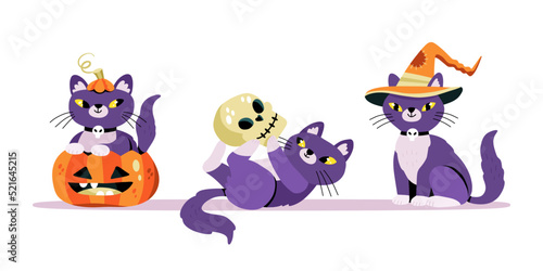 Fototapeta Naklejka Na Ścianę i Meble -  Set of cute halloween cats. Looking out of the pumpkin, playing with a skull, wearing a witch hat. Expressive animal characters. Flat hand-drawn cartoon vector illustration