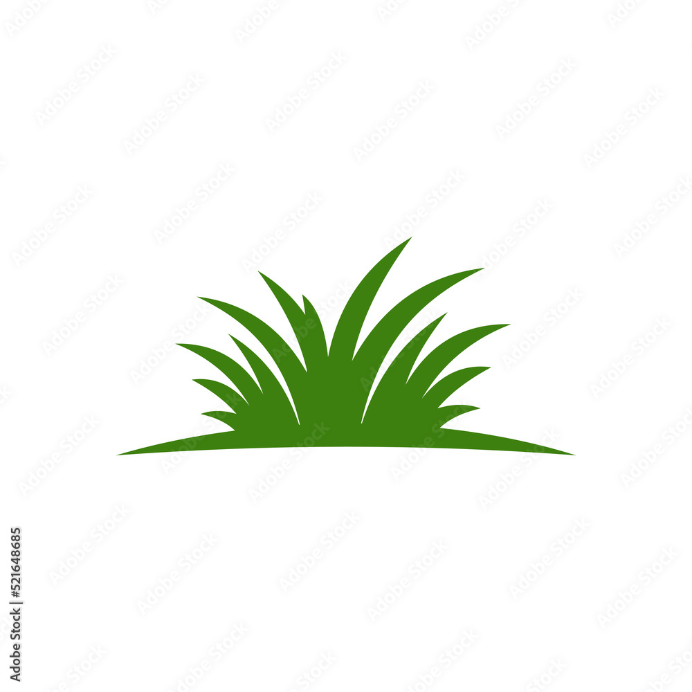 Obraz premium green plant isolated on white