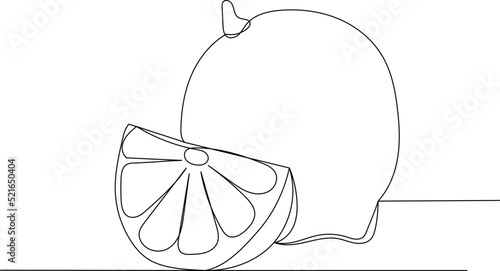 lemon drawing one continuous line vector