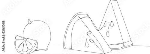 fruit drawing one continuous line vector