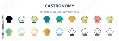 gastronomy icon in 18 different styles such as thin line, thick line, two color, glyph, colorful, lineal color, detailed, stroke and gradient. set of gastronomy vector for web, mobile, ui