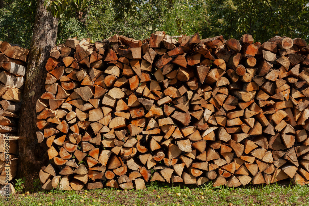 Big pile of firewood neatly stacked around the tree in garden, fuel crisis 