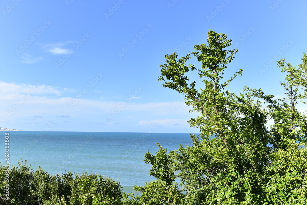view of the sea and foliage, sea ​​view