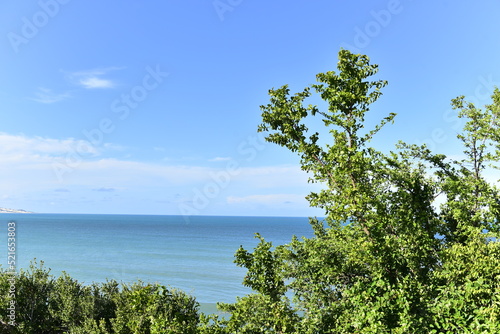 Fototapeta Naklejka Na Ścianę i Meble -  view of the sea and foliage, sea ​​view