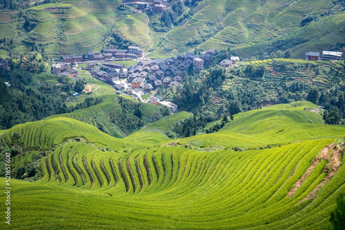 rice field © Vicky
