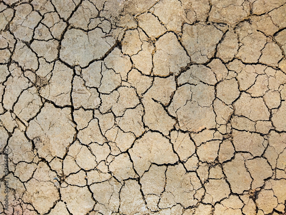 Cracked earth. Background with cracks. Large rubbish on the ground. Light brown textured cracked background Cracked earth. Background with cracks. Large rubbish on the ground. Light brown textured cracked background