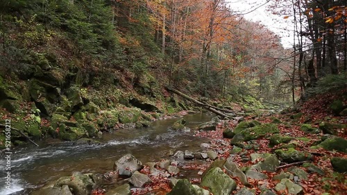 A magical river in the mountains, an autumn river, an autumn forest,a river in the mountains
