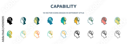 capability icon in 18 different styles such as thin line, thick line, two color, glyph, colorful, lineal color, detailed, stroke and gradient. set of capability vector for web, mobile, ui