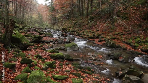 A magical river in the mountains, an autumn river, an autumn forest,a river in the mountains