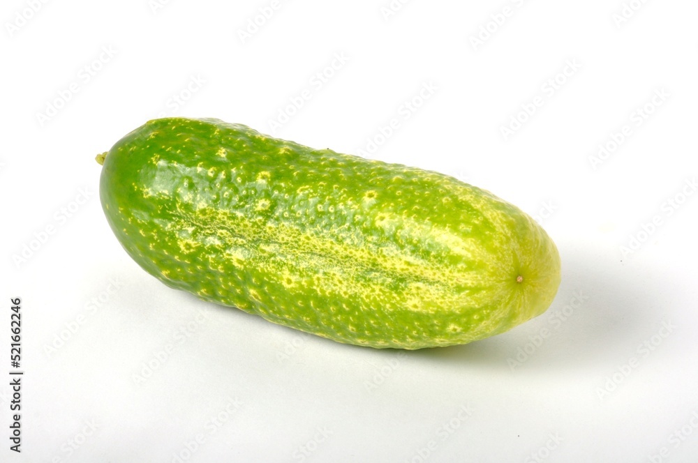 Small cucumber on a white background Small cucumber on a white background
