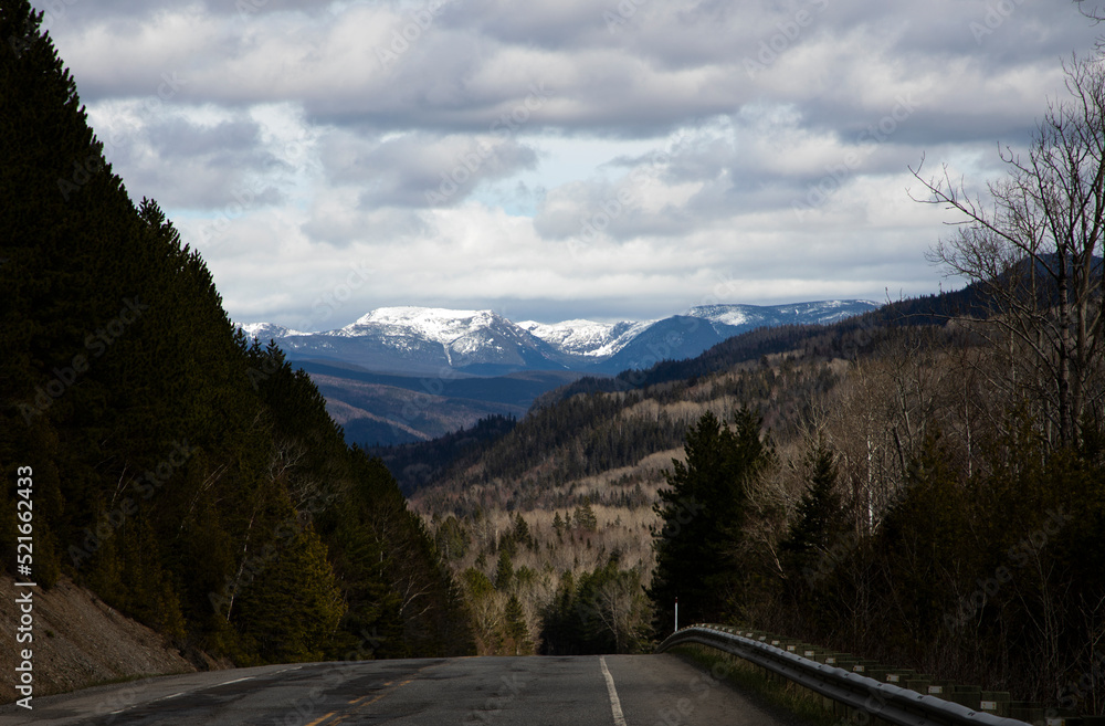 Fototapeta premium Mont Albert