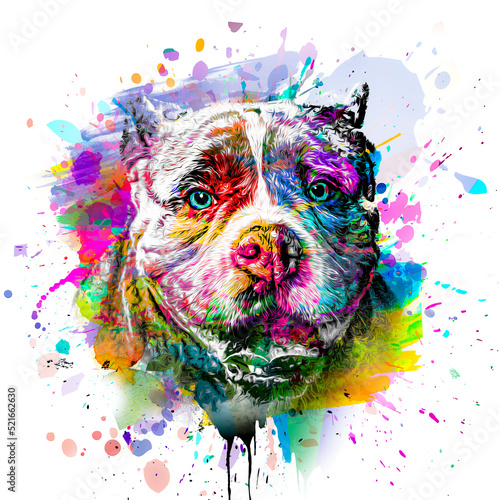 abstract colored dog muzzle...