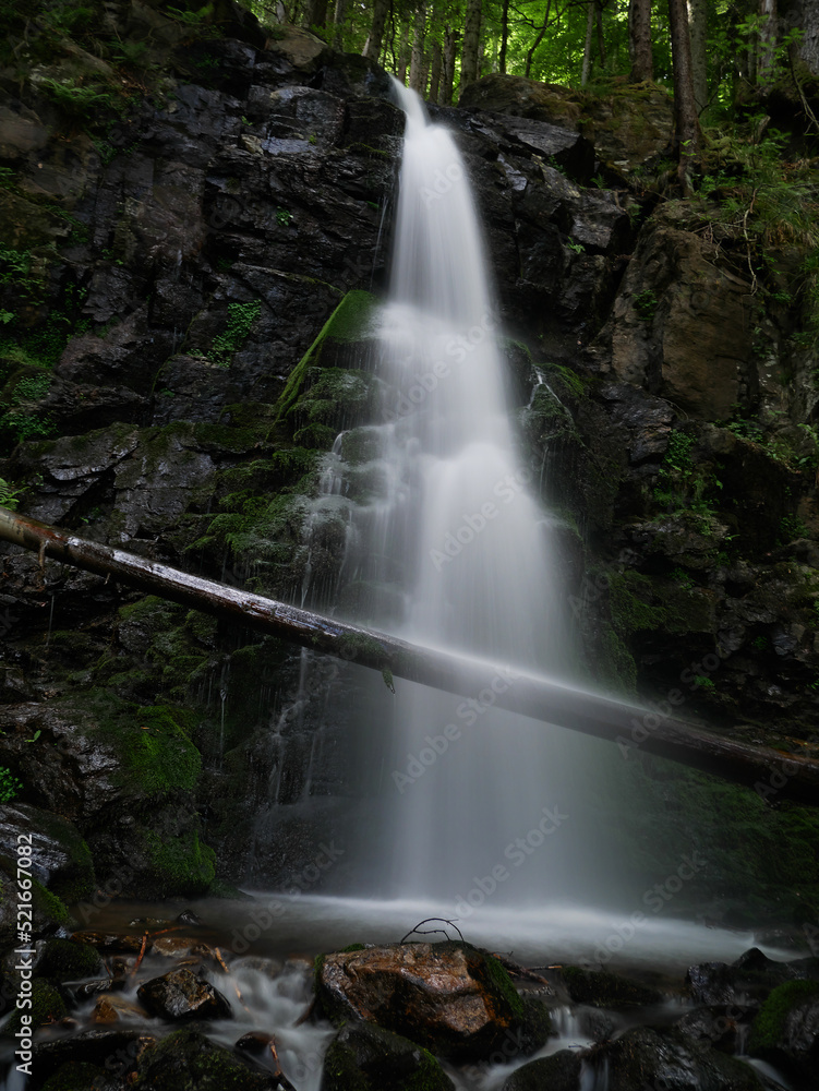 Zweribach Wasserfall im Schwarzwald mit Baumstamm