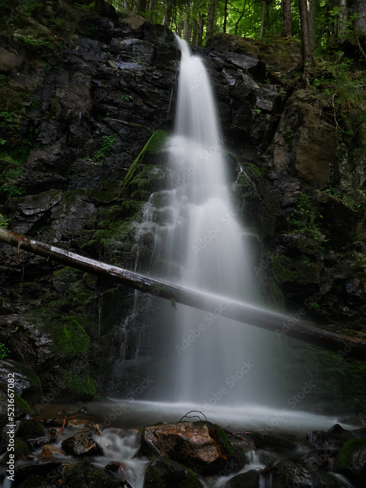 Obraz premium Zweribach Wasserfall im Schwarzwald mit Baumstamm