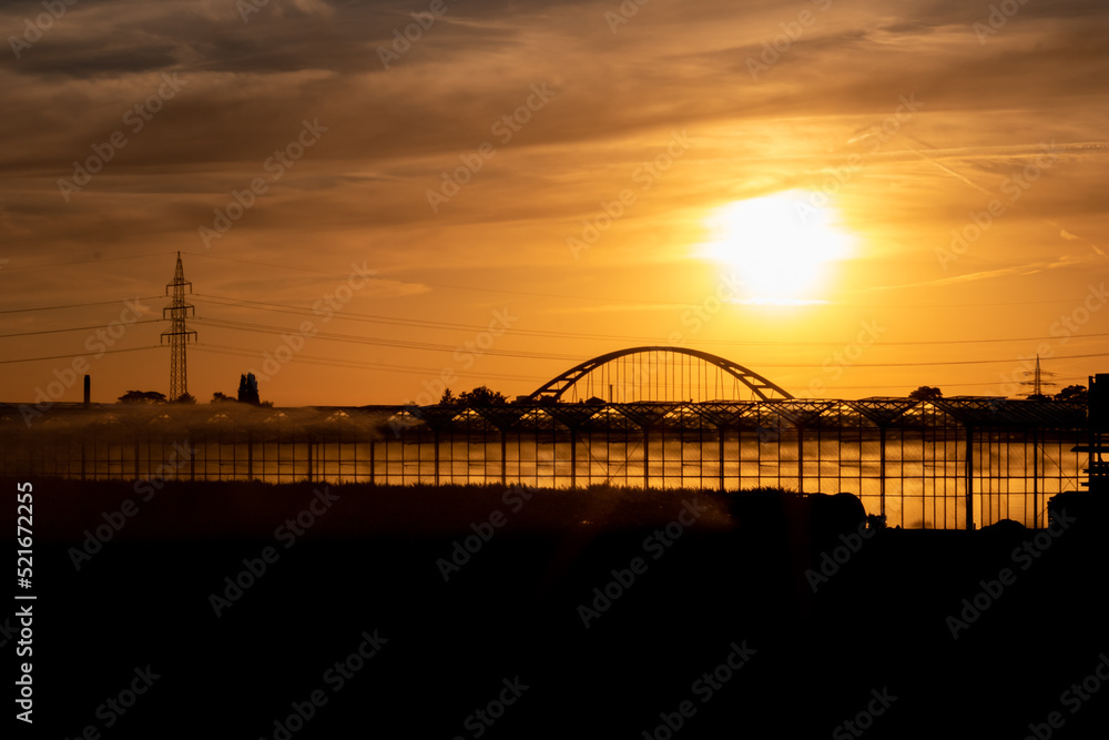Golden sunset over greenhouse silhouettes with bridge and electricity tower for solar power in agricultural business on idyllic countryside and rural scenery shows glass greenhouses healthy vegetables