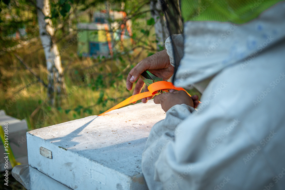 The beekeeper at the apiary checks the hives and takes care of the bees. Honey production in an apiary The beekeeper at the apiary checks the hives and takes care of the bees. Honey production in an apiary