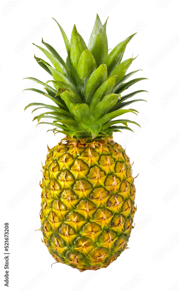 Isolated golden yellow pineapple. Isolated golden yellow pineapple.
