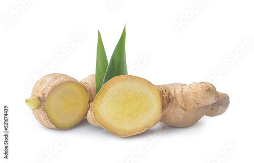 Two cut fresh ginger stems with leaves isolated on white background with clipping path