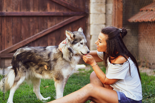  Woman and Dog.Smiling  Beautiful Woman having fun and  hugging  cute siberian Husky Dog at the back Yard .   Woman Playing with her dog durign the summer vacation 