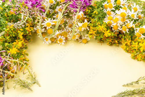 Frame of medicinal meadow and field herbs (ivan-tea, ivan-grass, kipreya, epilobium, chamomile, St. John's wort) on a yellow background. Space for text. Side view. © Aigul