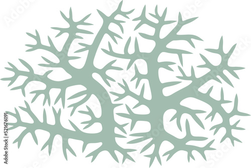 Iceland moss logo. Isolated iceland moss on white background