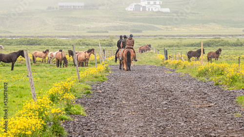 Cuadro en lienzo Horse riding with Icelandic horses in Northern Iceland