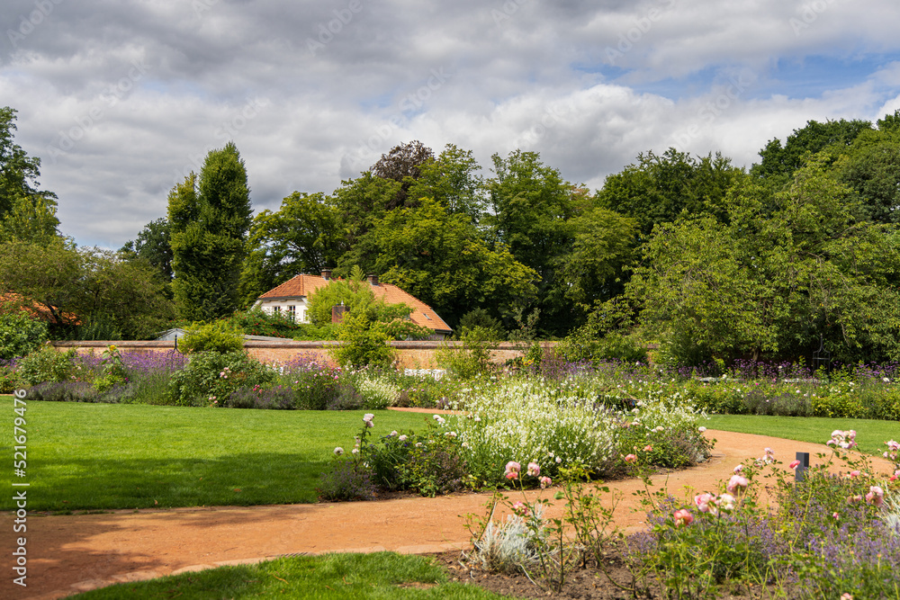 Rose garden in castle park in Oldenburg in Lower Saxony in Germany Europe Rose garden in castle park in Oldenburg in Lower Saxony in Germany Europe
