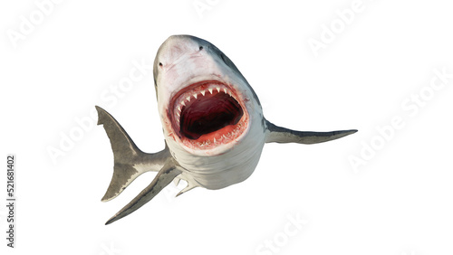 Photos White shark is a marine predator with a large mouth and teeth