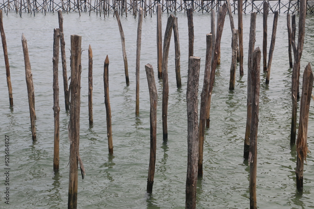 posts in the water